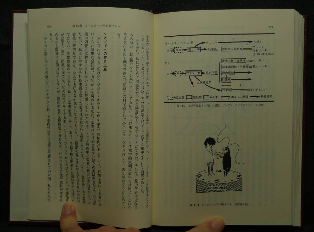 【超希少】【初版、新品並美品】古本　昆虫からの贈りもの　ある生物学者の一代記　著者：宇尾淳子　蒼樹書房_画像8