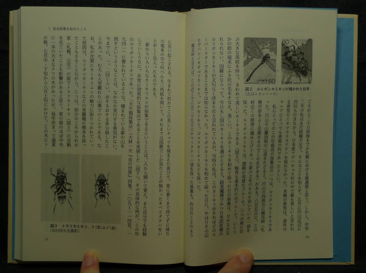 [ super rare ][ the first version, new goods average beautiful goods ] secondhand book insect shop. came road author :... three ( stock ) Japan books . line .
