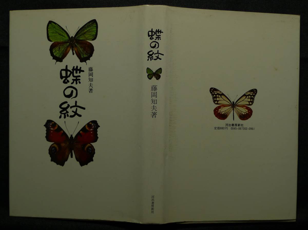 [ супер редкий ][ прекрасный товар ] старая книга бабочка. . автор : глициния холм . Хара ( АО ) Kawade книжный магазин новый фирма 