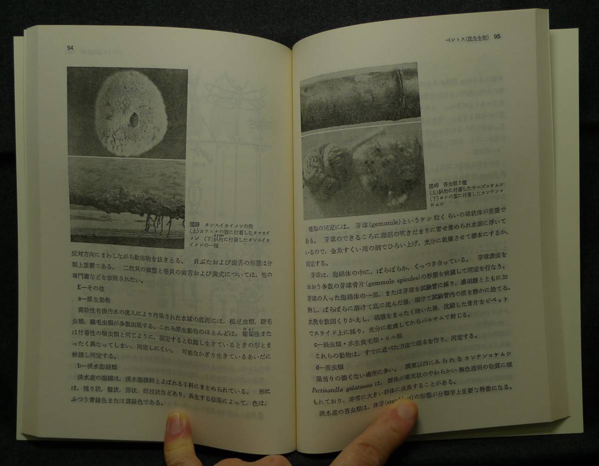 ヤフオク 超希少 新品並美品 古本 淡水生物の生態と ヤフオク 超希少 新品並美品 古本 淡水生物の生態と