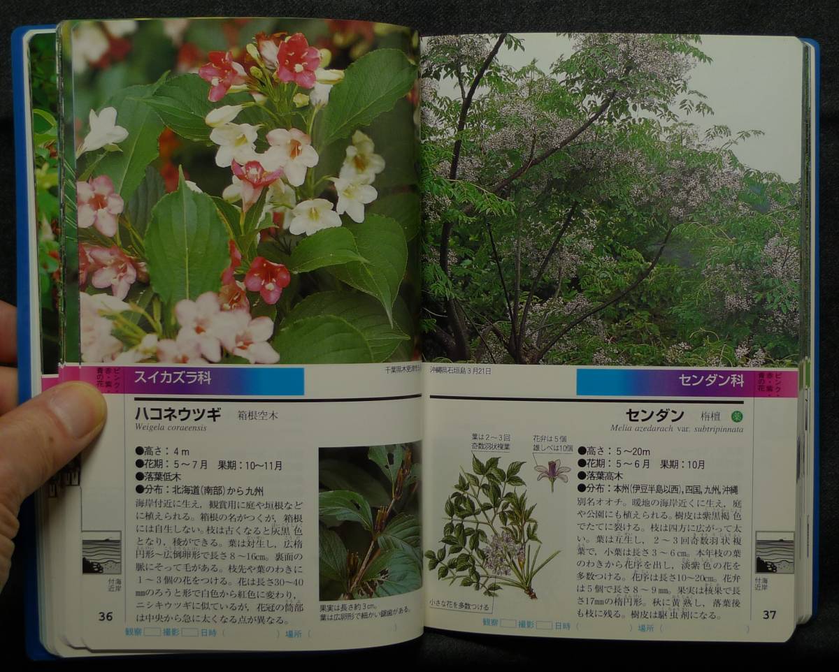 [ super rare ][ the first version, beautiful goods ] secondhand book japanese tree field the best illustrated reference book vol.5 author : west rice field furthermore road ( stock ) study research company 