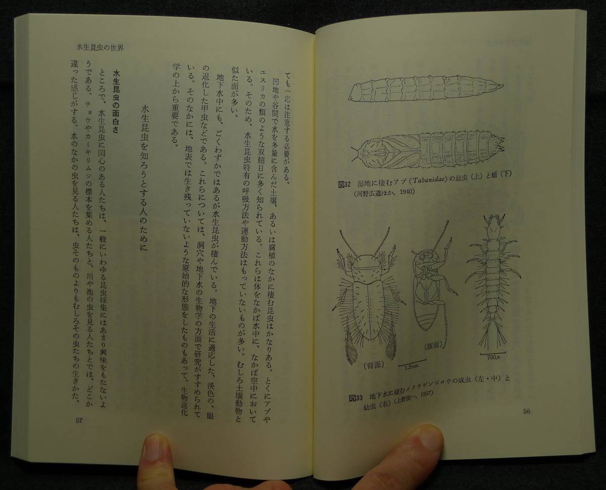 [ super rare ][ new goods average beautiful goods ] secondhand book aquatic insect. world . water. raw . Tokai science selection of books author : large . dragon one Tokai university publish .