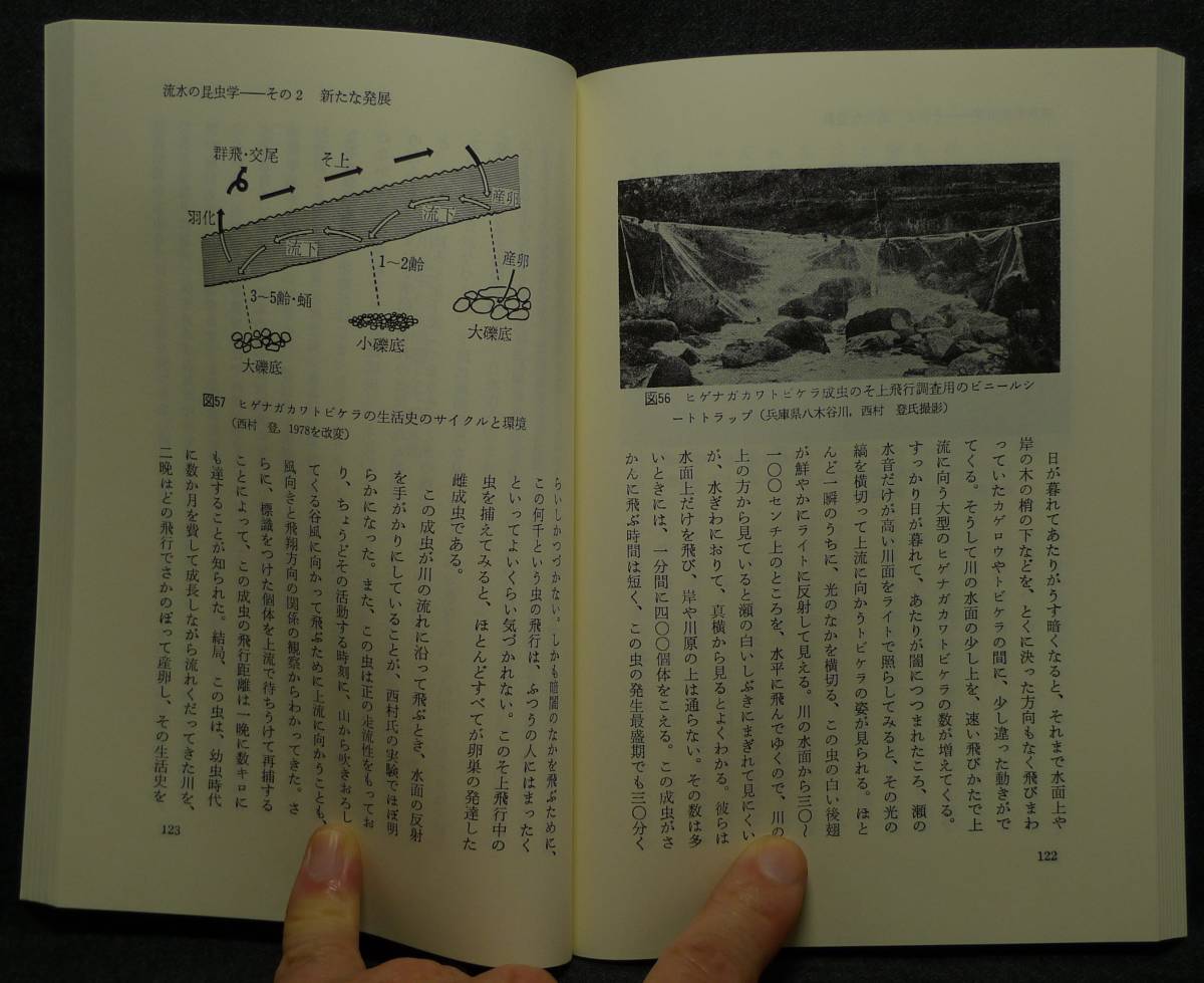 [ super rare ][ new goods average beautiful goods ] secondhand book aquatic insect. world . water. raw . Tokai science selection of books author : large . dragon one Tokai university publish .