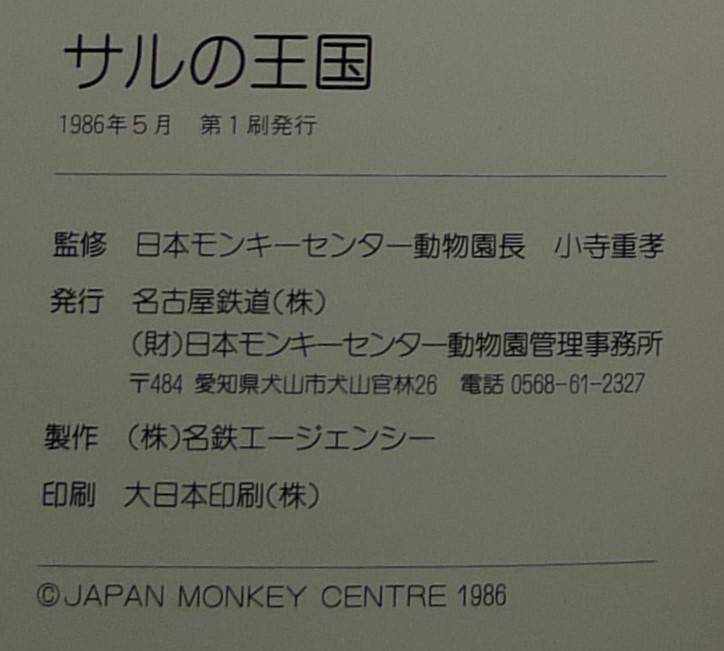 【超希少】【初版、美品】古本　サルの王国　ゆかいでたのしい仲間たち　著者：日本モンキーセンター動物園長　日本モンキーセンター_画像10