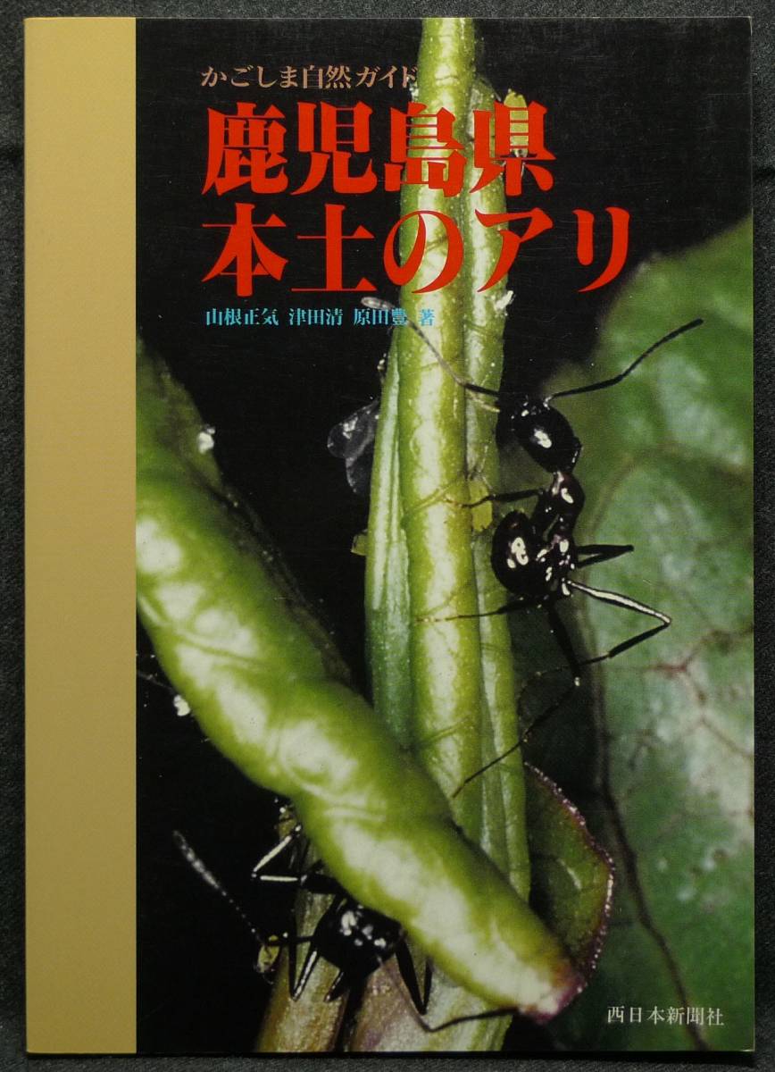 ずっと気になってた 【超希少】【新品並美品】古本 鹿児島県本土のアリ