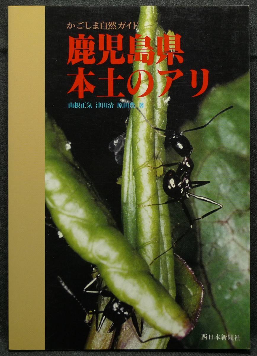ずっと気になってた 超希少新品並美品古本 鹿児島県本土のアリ