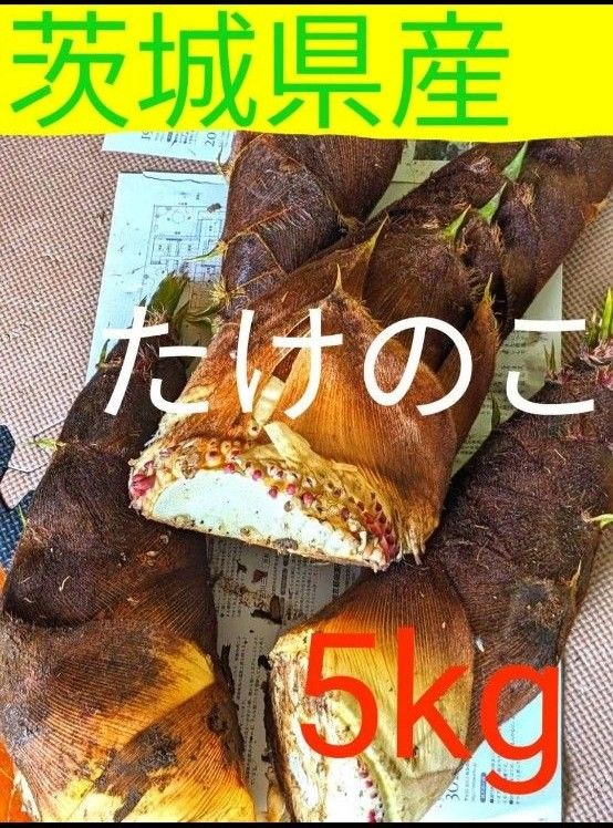 茨城県産 糠つき 無農薬 たけのこ 5kg ①|Yahoo!フリマ(旧 茨城県産 糠つき 無農薬 たけのこ 5kg ①|Yahoo!フリマ(旧