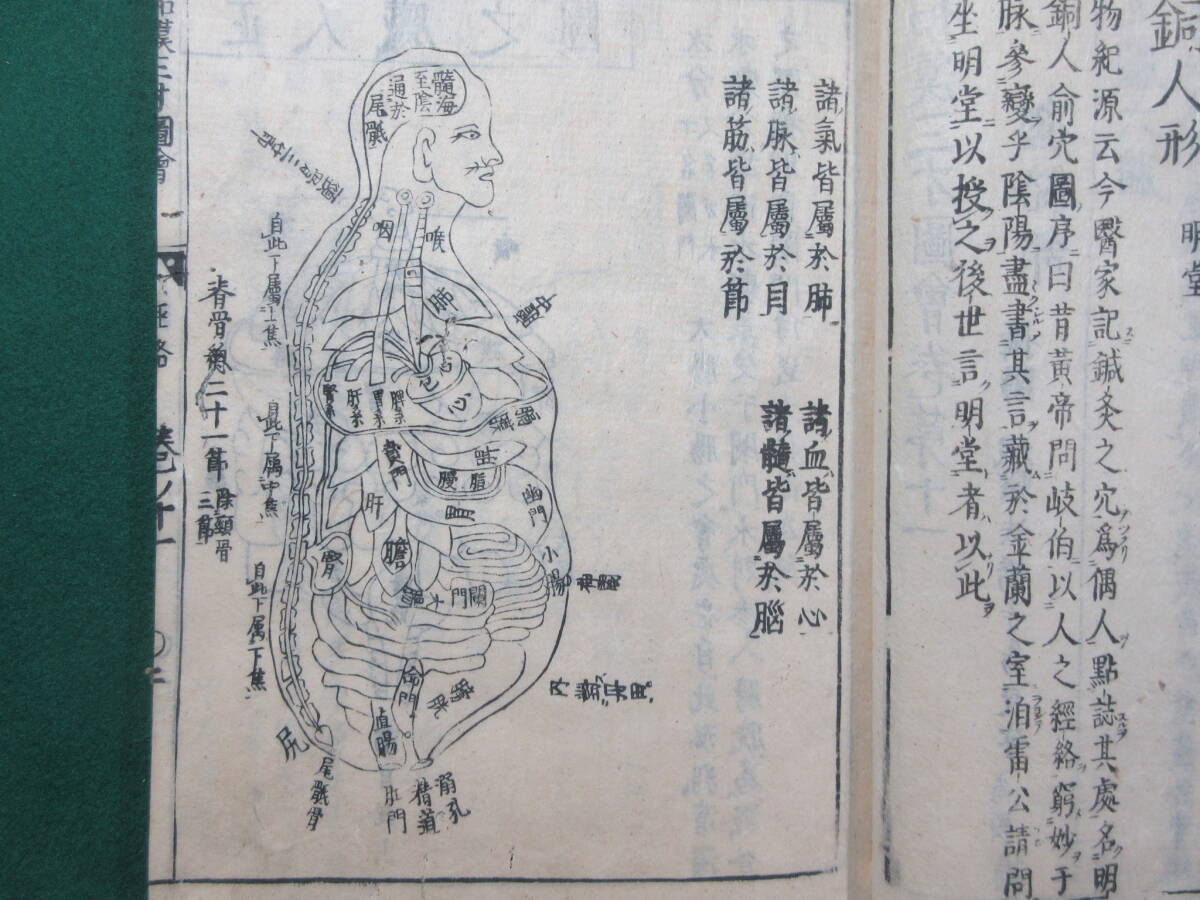 9)江戸期絵入り和本 『和漢三才図会 十一巻 經絡』 正德3年 検 9)江戸期絵入り和本 『和漢三才図会 十一巻 經絡』 正德3年 検