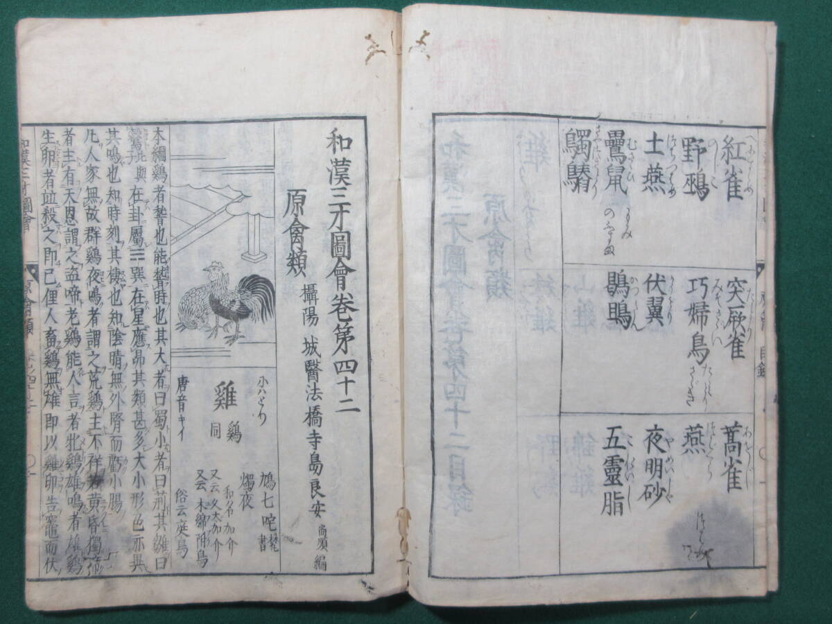 20)江戸期絵入り和本 『和漢三才図会 四十二 原禽』 正德3年 検 20)江戸期絵入り和本 『和漢三才図会 四十二 原禽』 正德3年 検