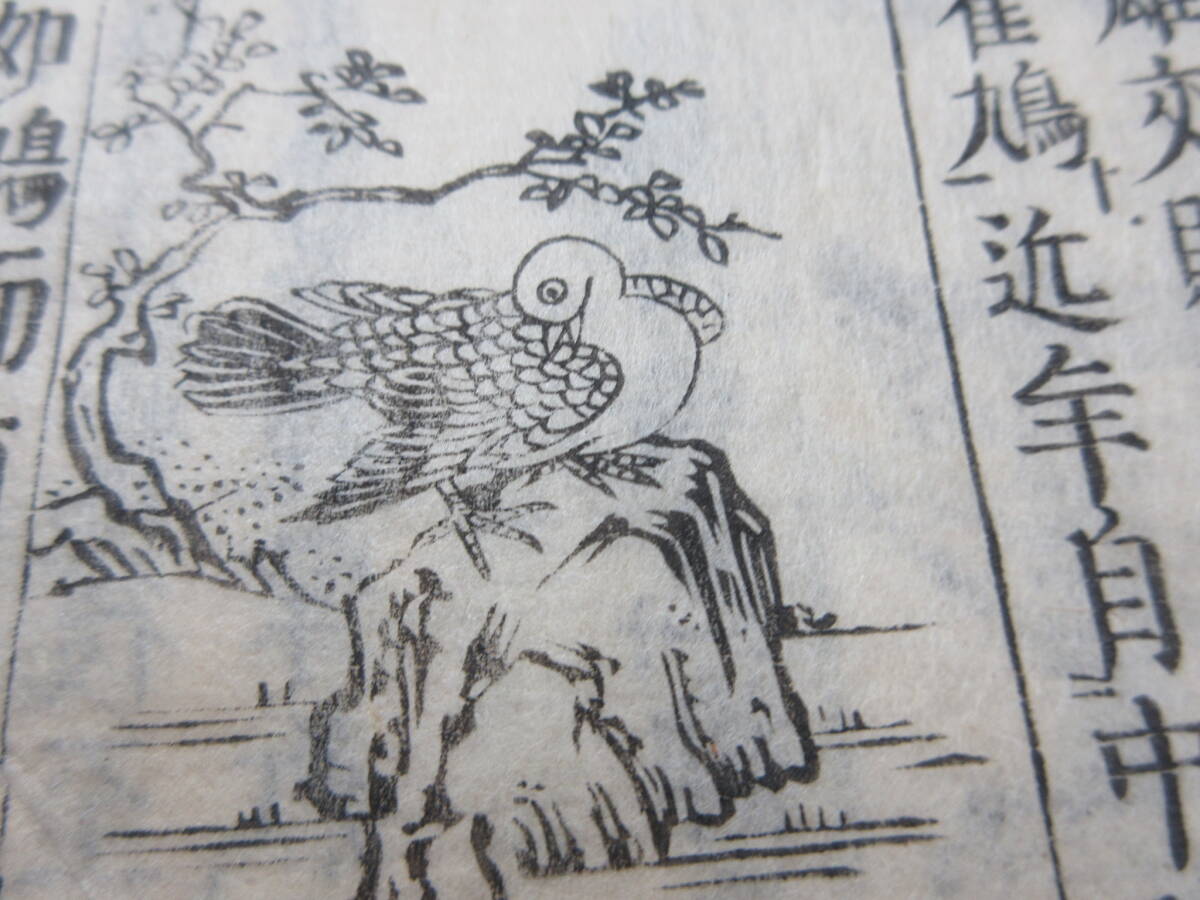 21)江戸期絵入り和本 『和漢三才図会 四十三 林禽』 正德3年 検 21)江戸期絵入り和本 『和漢三才図会 四十三 林禽』 正德3年 検