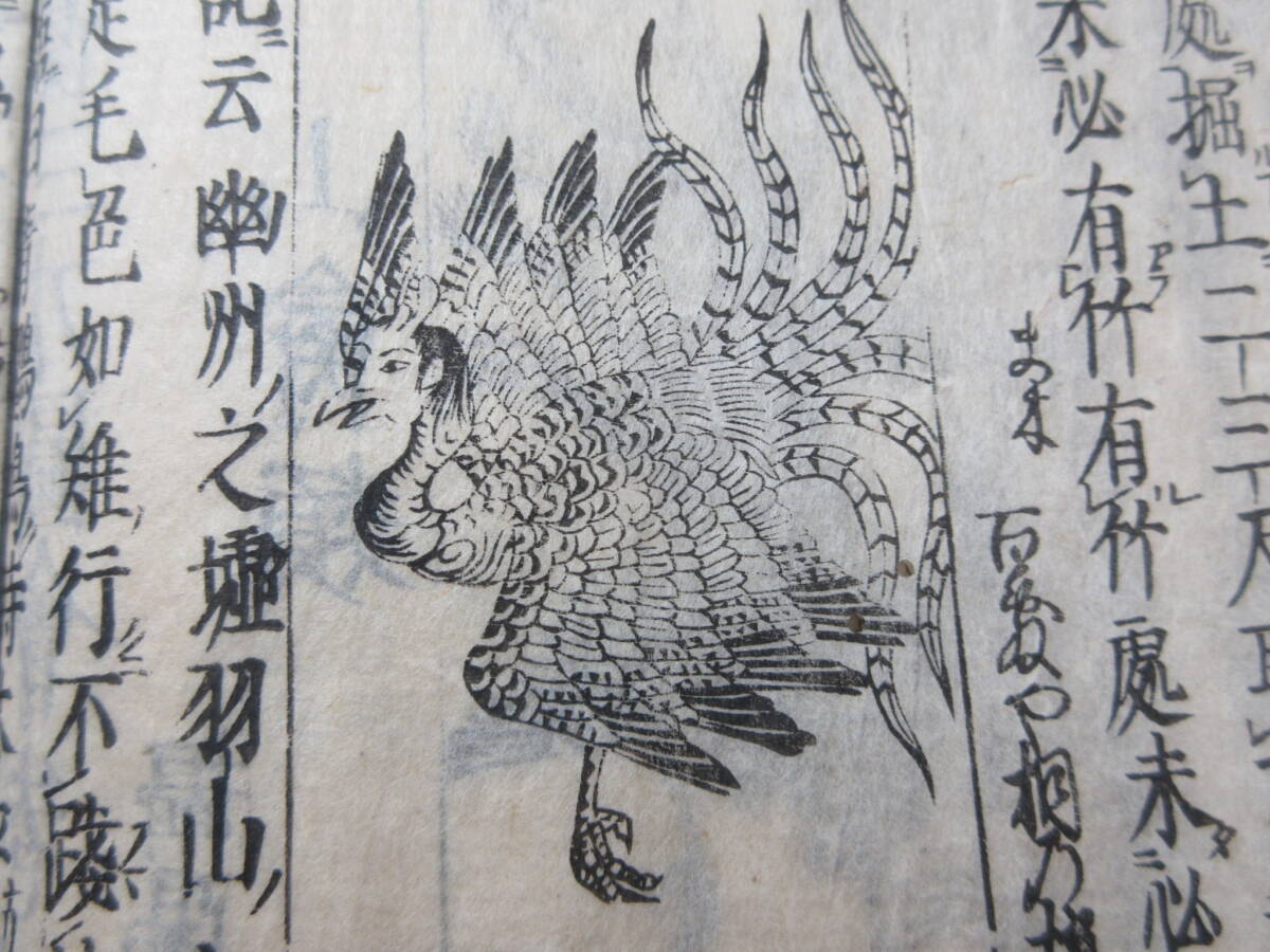 22)江戸期絵入り和本 『和漢三才図会 四十四 山禽』 正德3年 検 22)江戸期絵入り和本 『和漢三才図会 四十四 山禽』 正德3年 検
