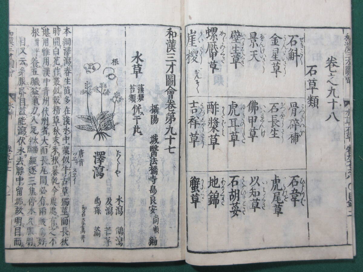 32)江戸期絵入り和本 『和漢三才図会 九十七 水草類 』 正德3年 32)江戸期絵入り和本 『和漢三才図会 九十七 水草類 』 正德3年