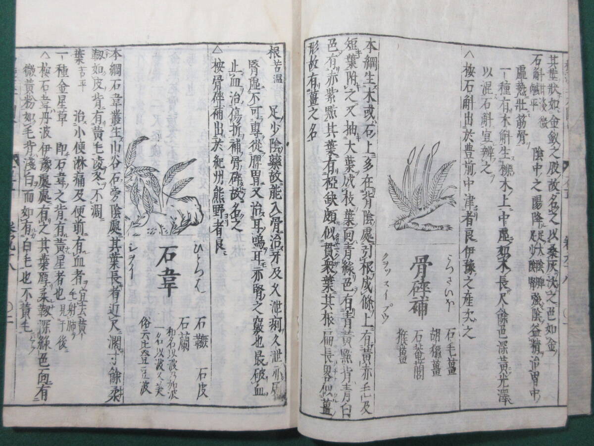 33)江戸期絵入り和本 『和漢三才図会 九十八 石草類』 正德3年 33)江戸期絵入り和本 『和漢三才図会 九十八 石草類』 正德3年