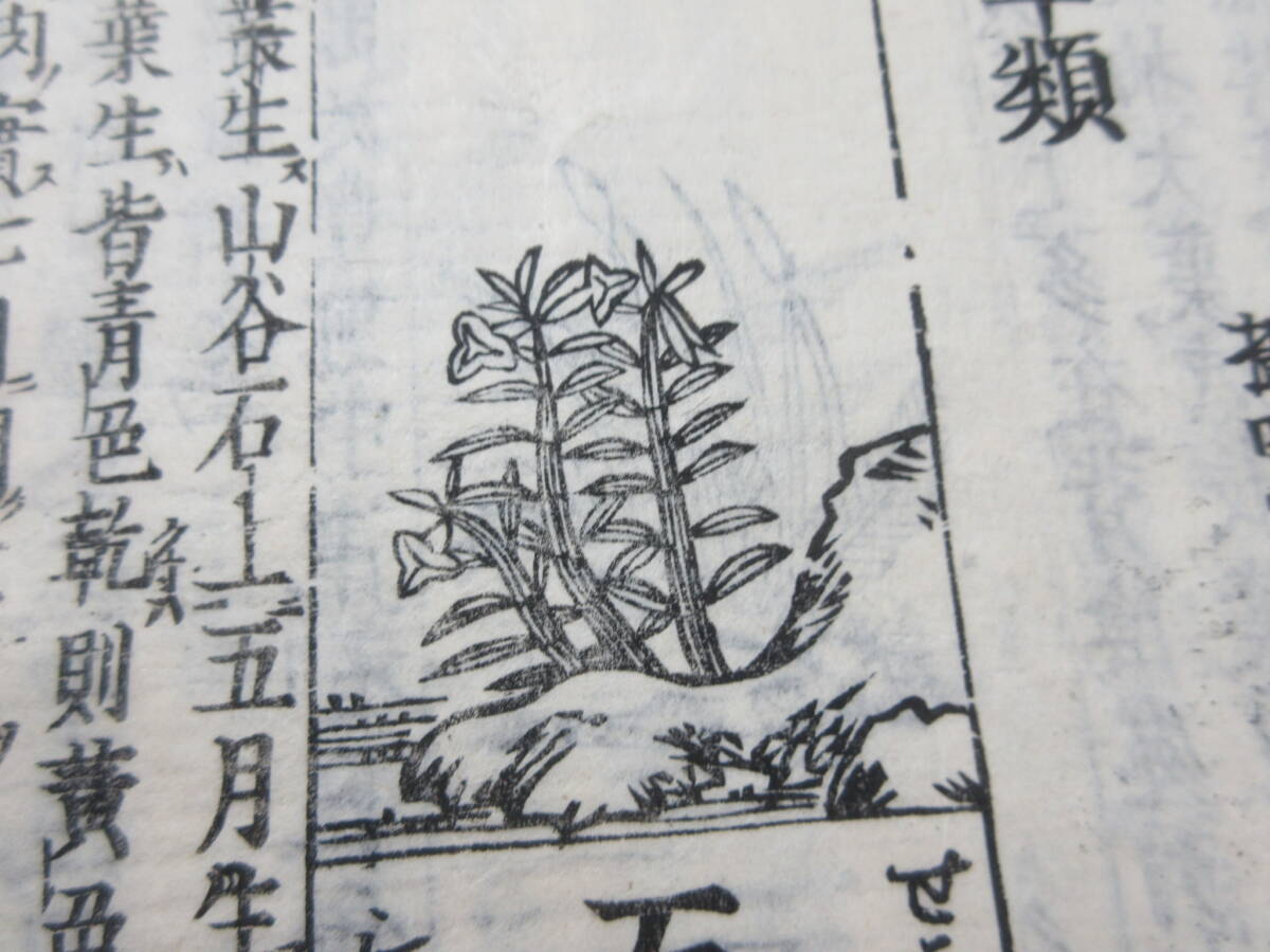 33)江戸期絵入り和本 『和漢三才図会 九十八 石草類』 正德3年 33)江戸期絵入り和本 『和漢三才図会 九十八 石草類』 正德3年
