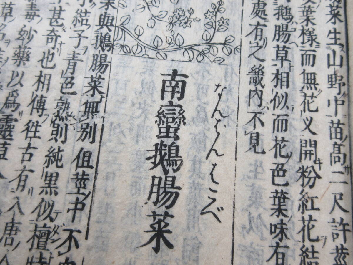 36)江戸期絵入り和本 『和漢三才図会 百二 柔滑菜』 正德3年 検 36)江戸期絵入り和本 『和漢三才図会 百二 柔滑菜』 正德3年 検
