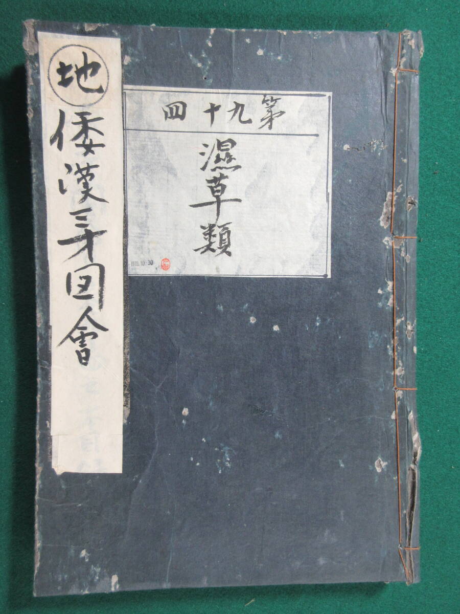 31)江戸期絵入り和本 『和漢三才図会 九十四 濕草類』 正德3年 31)江戸期絵入り和本 『和漢三才図会 九十四 濕草類』 正德3年