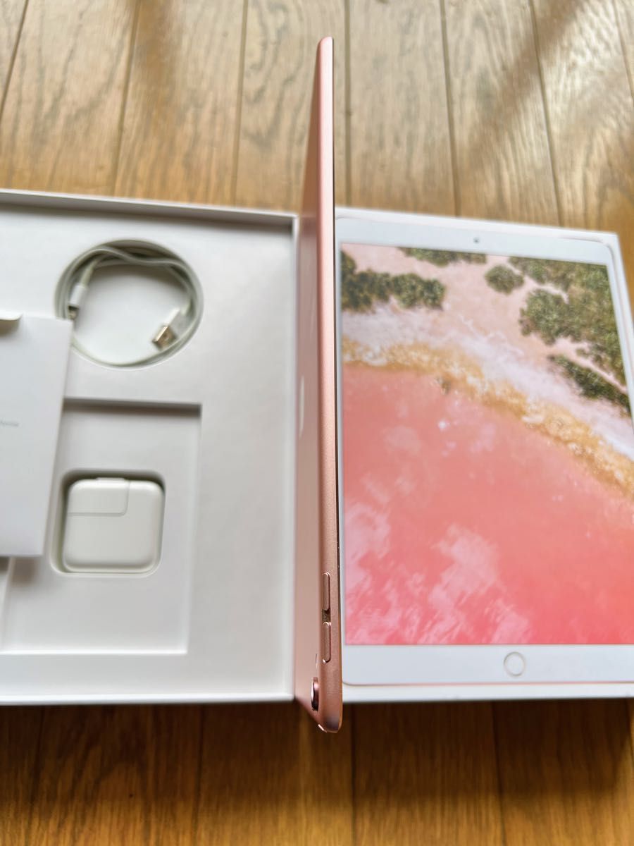 Apple iPad Pro 10 5インチ ローズゴールド Wi-Fiモデル 64GB Apple iPad Pro 10 5インチ ローズゴールド Wi-Fiモデル 64GB
