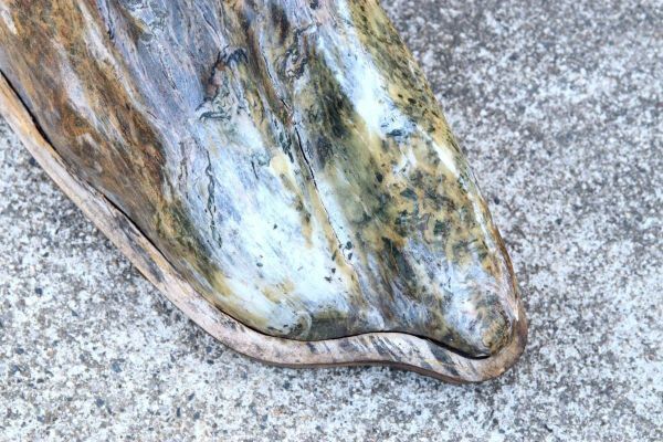 爨】中国美術 鑑賞石 蛇紋岩 56cm 唐木付 盆景石 水石 天然石 唐 爨】中国美術 鑑賞石 蛇紋岩 56cm 唐木付 盆景石 水石 天然石 唐