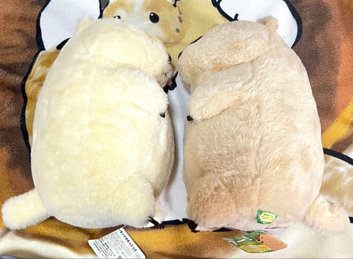 ぬいぐるみ マーモット マーモットのもっとっと もっとっと はま ぬいぐるみ マーモット マーモットのもっとっと もっとっと はま