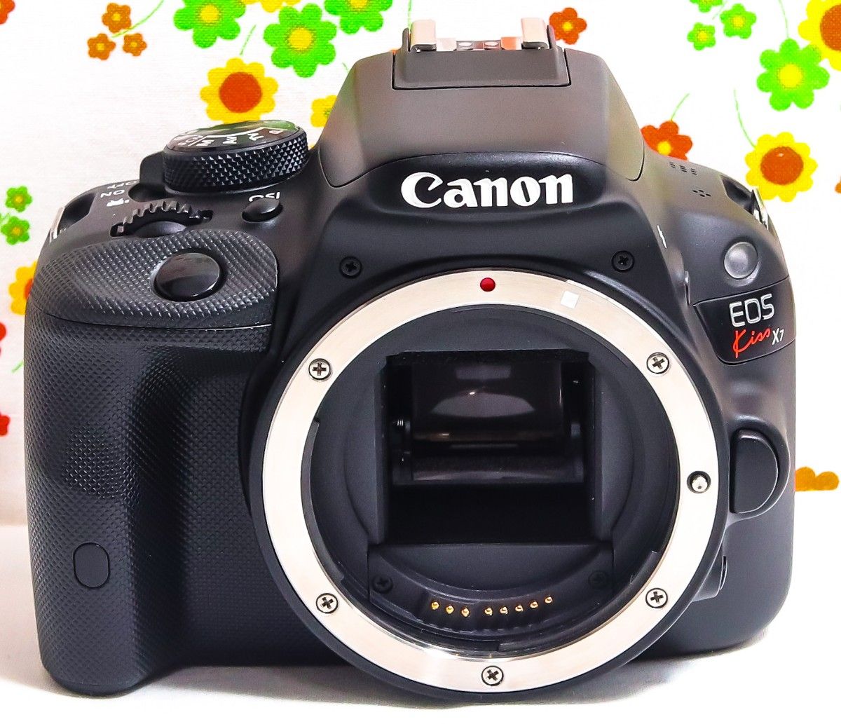 美品 Canon EOS Kiss X7 スマホ転送 超小型 間違いない一眼レフ 美品 Canon EOS Kiss X7 スマホ転送 超小型 間違いない一眼レフ