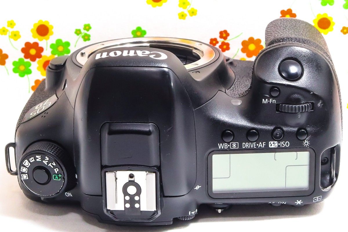 Canon EOS 7D Mark Ⅱ スマホ転送 ハイアマチュア 高性能一眼 Canon EOS 7D Mark Ⅱ スマホ転送 ハイアマチュア 高性能一眼