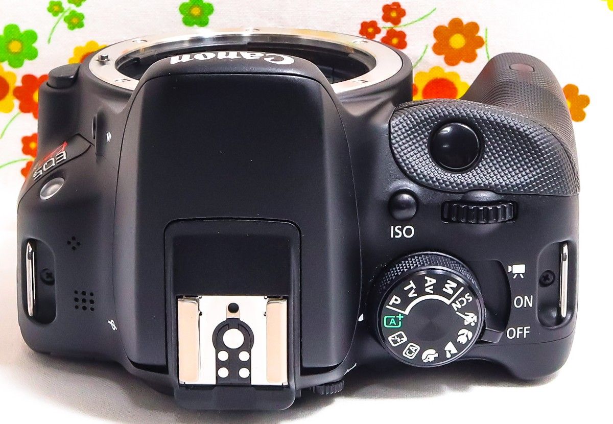 美品 Canon EOS Kiss X7 スマホ転送 超小型 間違いない一眼レフ 美品 Canon EOS Kiss X7 スマホ転送 超小型 間違いない一眼レフ