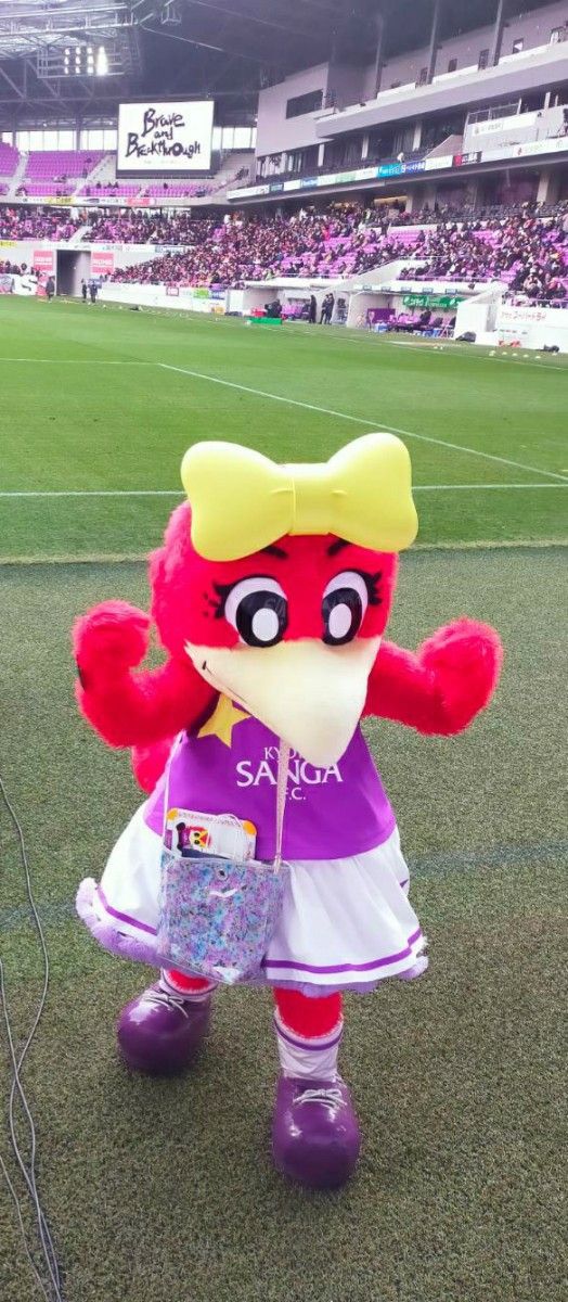 京都サンガ ユニフォーム Mサイズ 2024年 オーセンティック 1st 京都サンガ ユニフォーム Mサイズ 2024年 オーセンティック 1st
