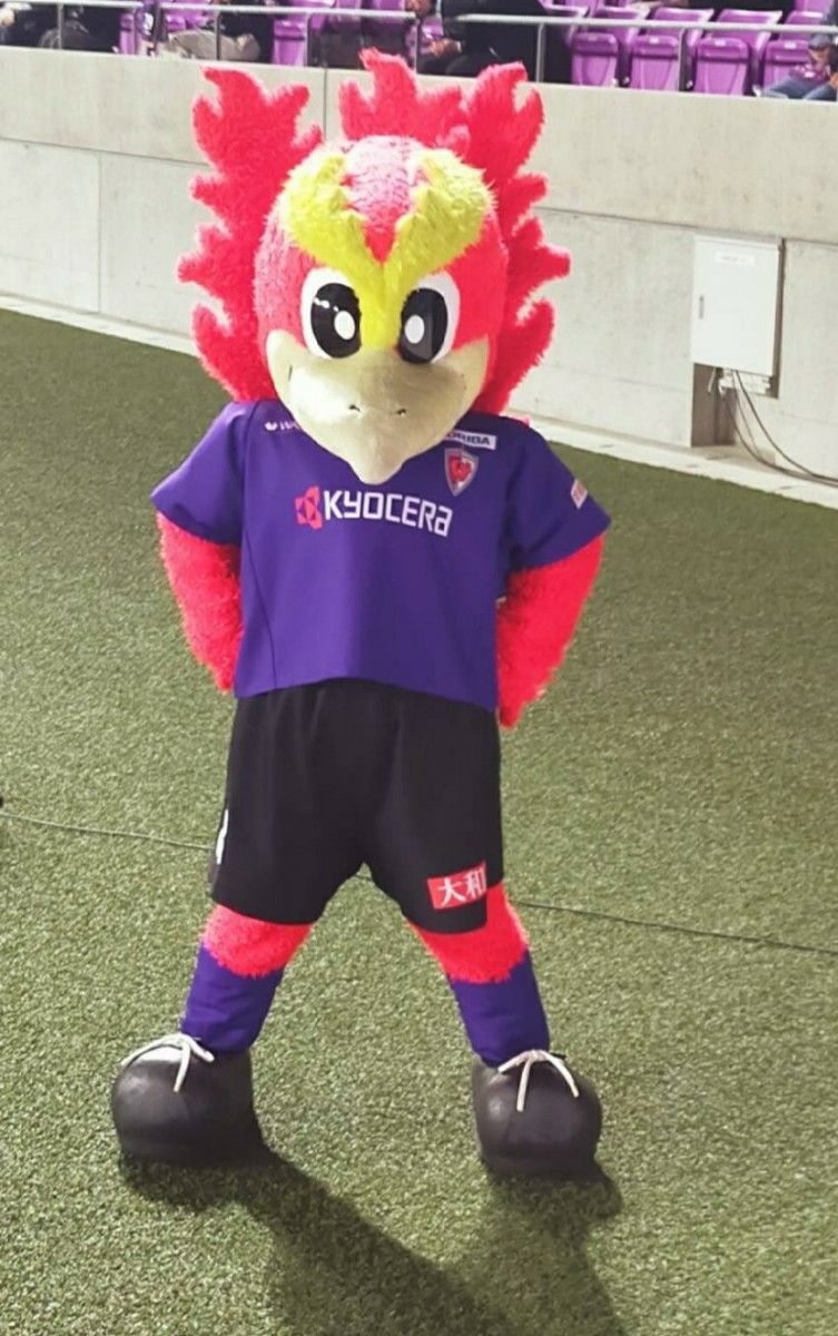 京都サンガ ユニフォーム 2025 Mサイズ オーセンティック 京都サンガ ユニフォーム 2025 Mサイズ オーセンティック