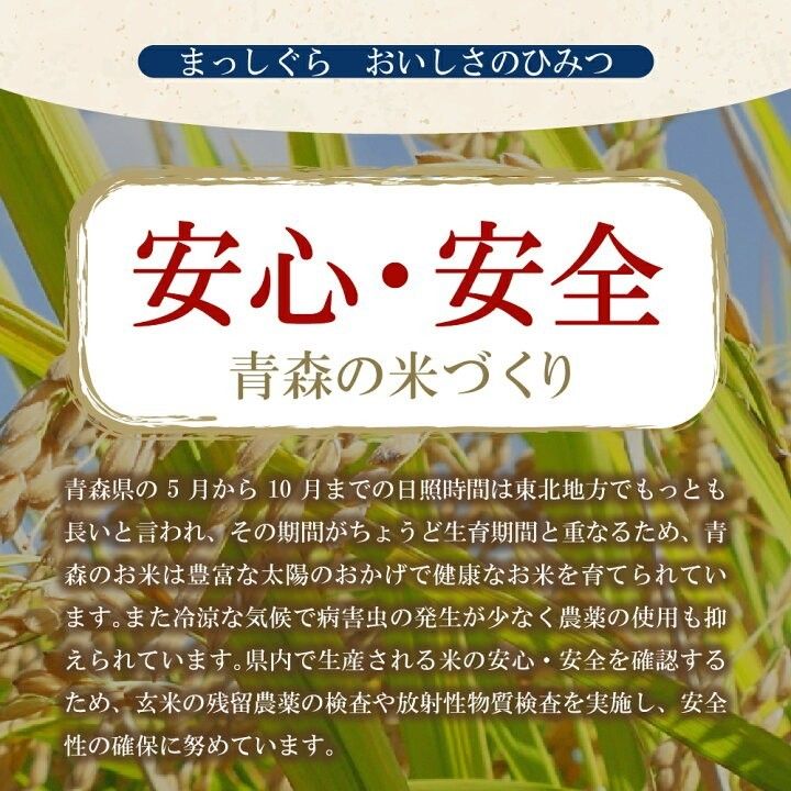 新米 青森県産まっしぐら20kg(10kg×2袋) 玄米ではなく精米で内容 新米 青森県産まっしぐら20kg(10kg×2袋) 玄米ではなく精米で内容