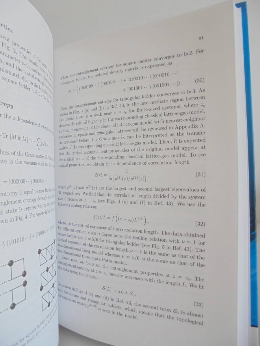 「Physics, Mathematics, and All That Quantum Jazz 」坂東将光 物理　 　数学 洋書_画像5