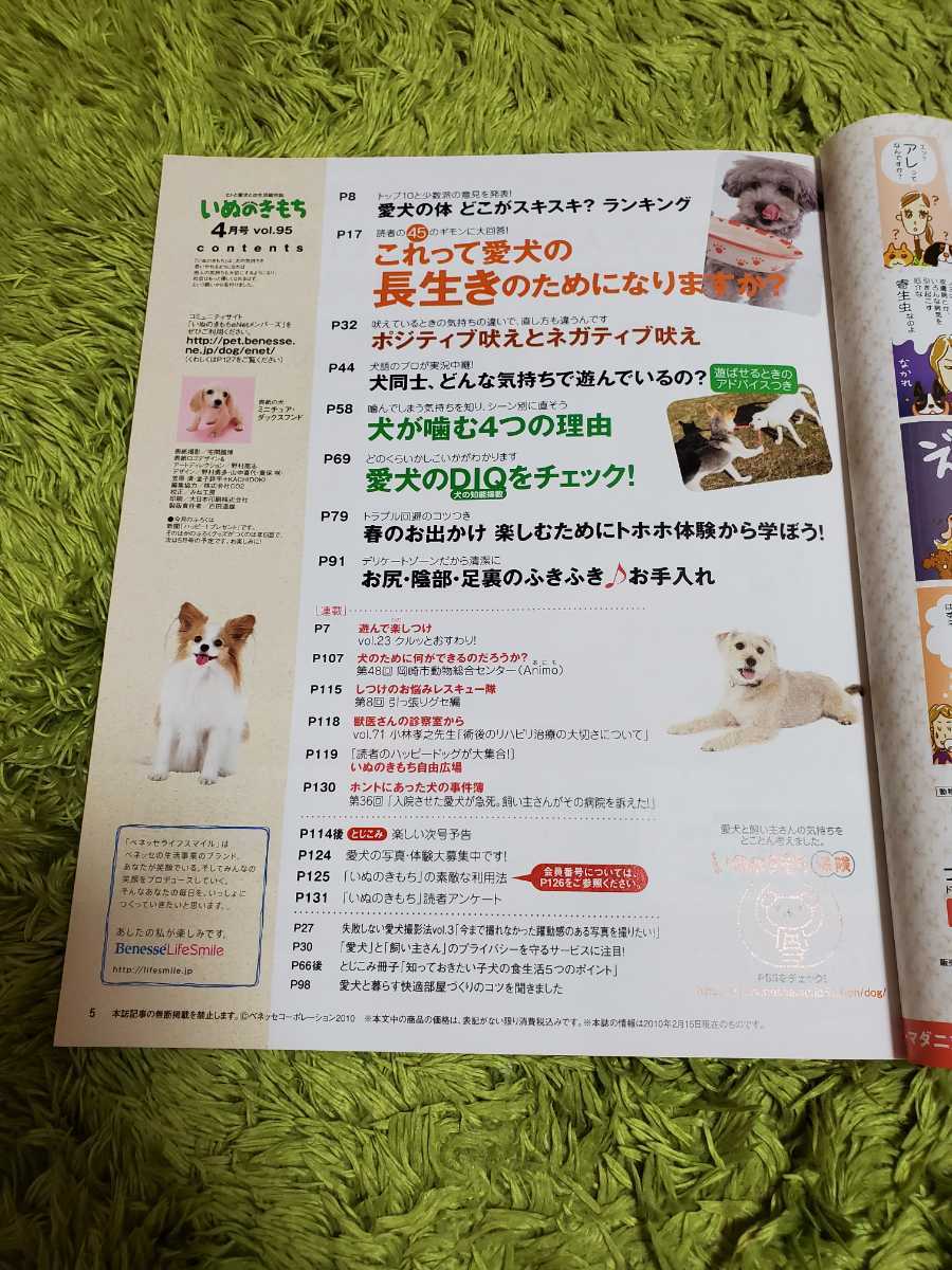 ヤフオク 最終値下げ 動物 雑誌 いぬのきもち 8冊まとめ売り ヤフオク 最終値下げ 動物 雑誌 いぬのきもち 8冊まとめ売り