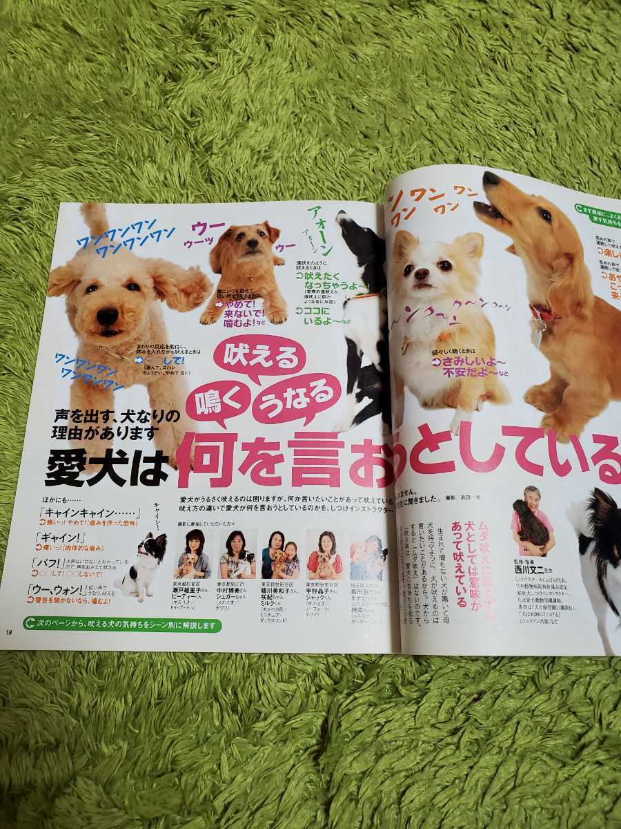 ヤフオク 最終値下げ 動物 雑誌 いぬのきもち 8冊まとめ売り ヤフオク 最終値下げ 動物 雑誌 いぬのきもち 8冊まとめ売り