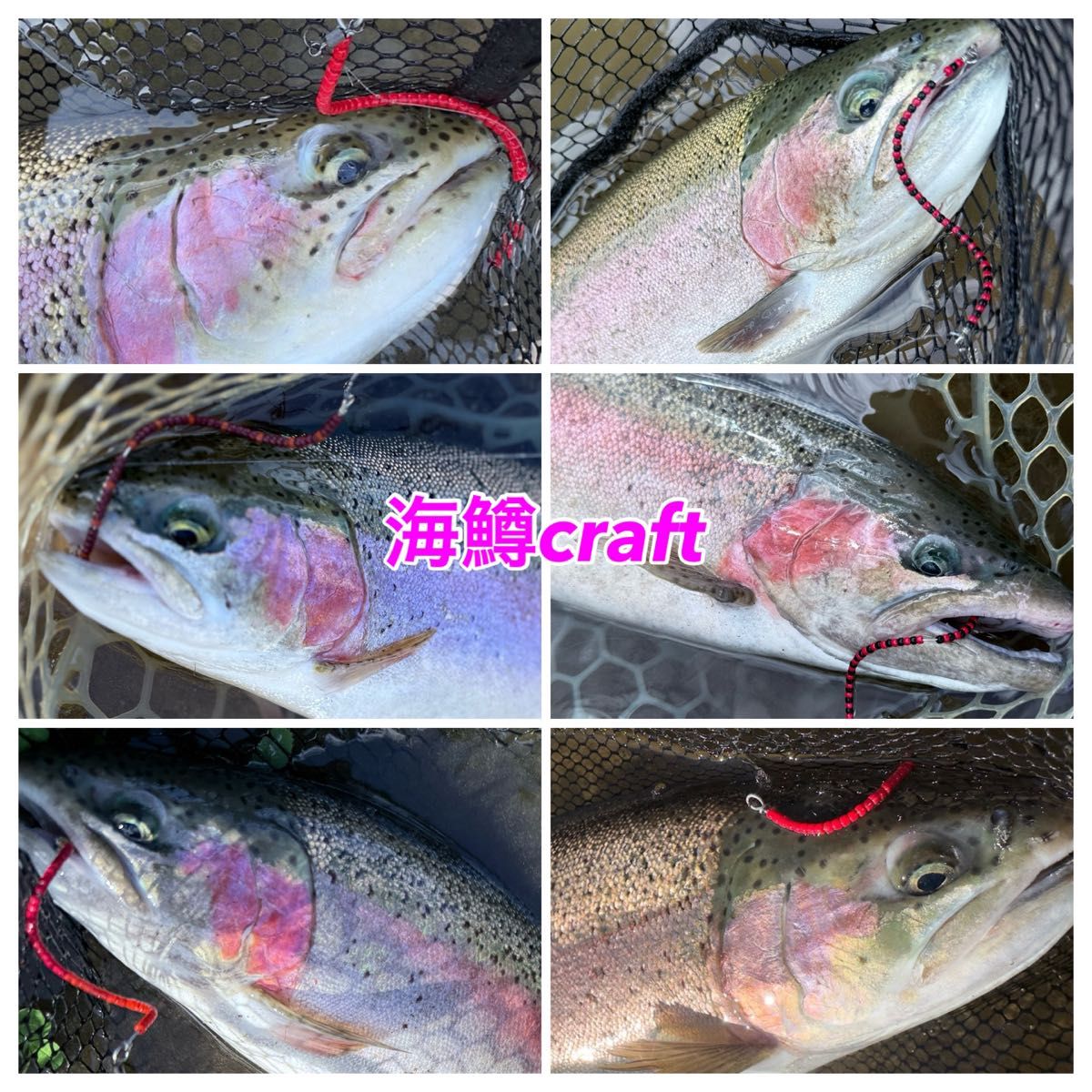 スチール狙いに 】管釣り エリアトラウト 【形状記憶】海鱒 スチール狙いに 】管釣り エリアトラウト 【形状記憶】海鱒