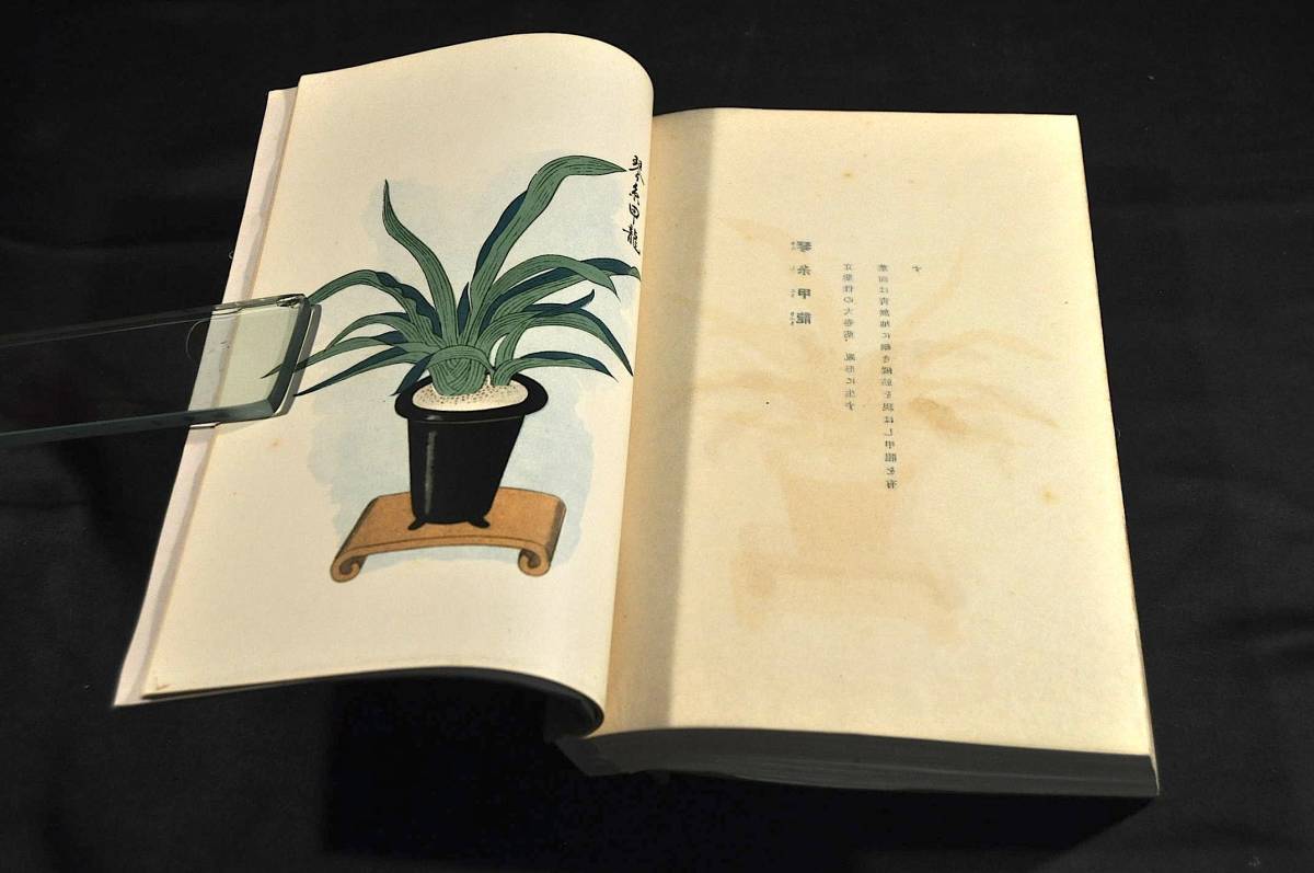 . year blue 100 kind large . beautiful book@ Hashimoto . flower work 