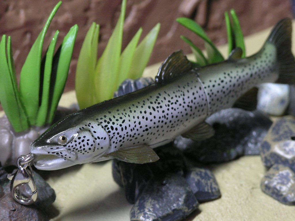 幻の魚の値段と価格推移は 31件の売買情報を集計した幻の魚の価格や価値の推移データを公開 幻の魚の値段と価格推移は 31件の売買情報を集計した幻の魚の価格や価値の推移データを公開