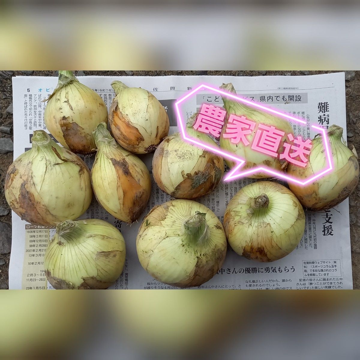 規格外訳あり】佐賀県産新玉ねぎ10kg+α 新たまねぎ 農家直送 規格外訳あり】佐賀県産新玉ねぎ10kg+α 新たまねぎ 農家直送