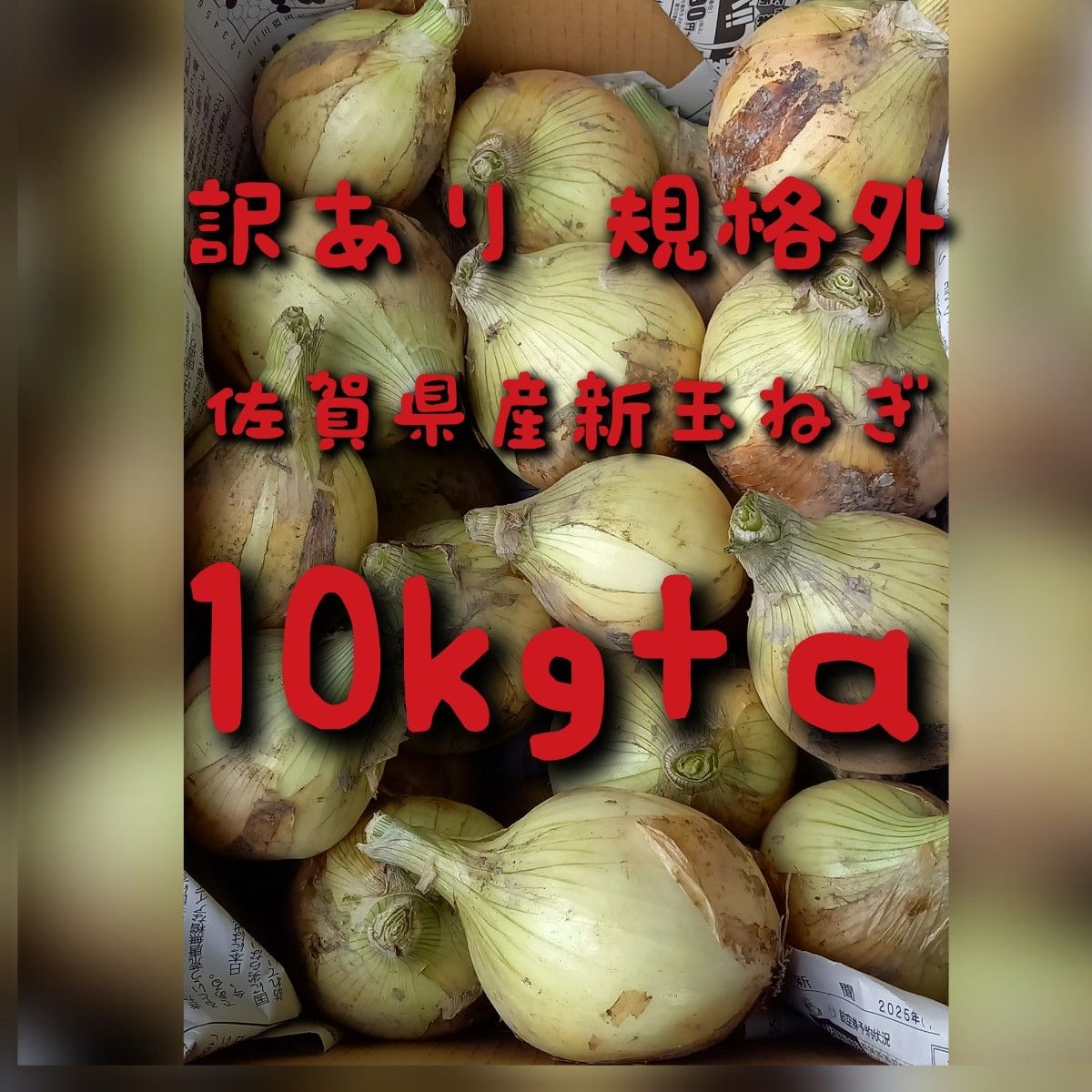 規格外訳あり】佐賀県産新玉ねぎ10kg+α 新たまねぎ 農家直送 規格外訳あり】佐賀県産新玉ねぎ10kg+α 新たまねぎ 農家直送