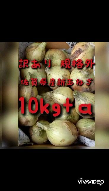 【規格外訳あり】佐賀県産新玉ねぎ10kg+α 新たまねぎ 農家直送
