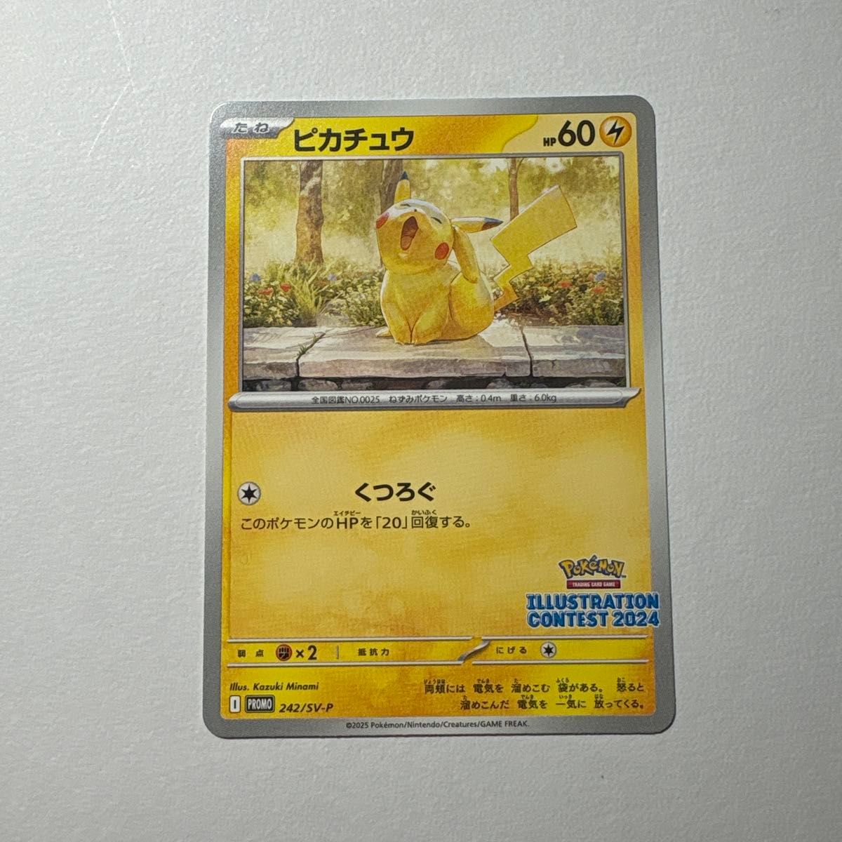 ポケモンカード ピカチュウ プロモ イラストレーション ポケモンカード ピカチュウ プロモ イラストレーション