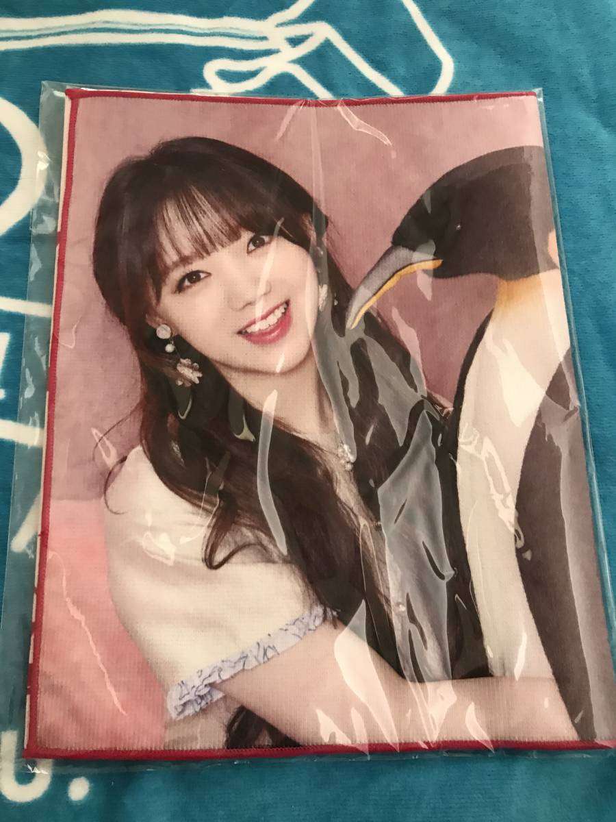 ◆新品未開封◆ LOVELYZ 【 冬の国のLOVELYZ 2 】 フォトタオル ケイ Kei ◆ 日本限定 公式グッズ レア 2018 コンサート ラブリーズ