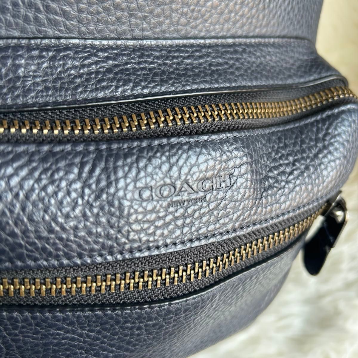 美品 COACH コーチ リュックサック バックパック ウエスト 美品 COACH コーチ リュックサック バックパック ウエスト