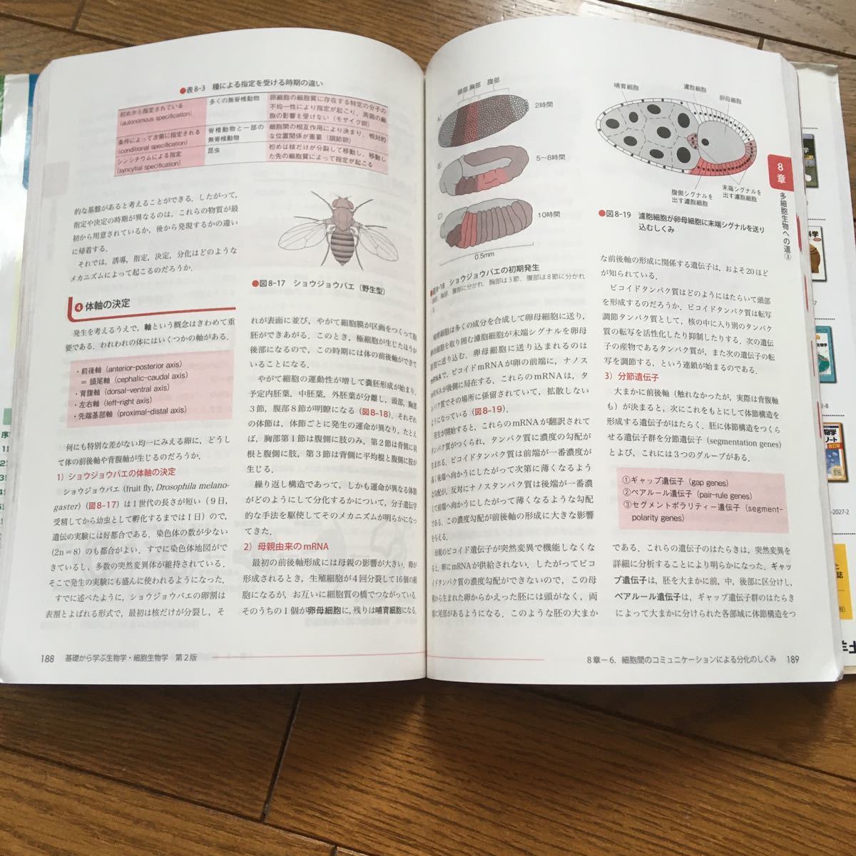 値下げ　基礎から学ぶ生物学・細胞生物学   第２版/羊土社/和田勝　中古