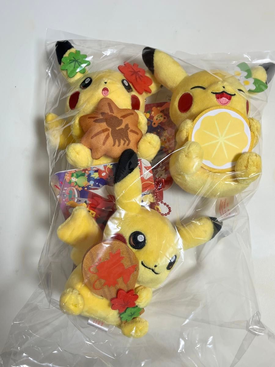 ポケモンセンターヒロシマ限定リニューアルオープン ぬいぐるみ ポケモンセンターヒロシマ限定リニューアルオープン ぬいぐるみ