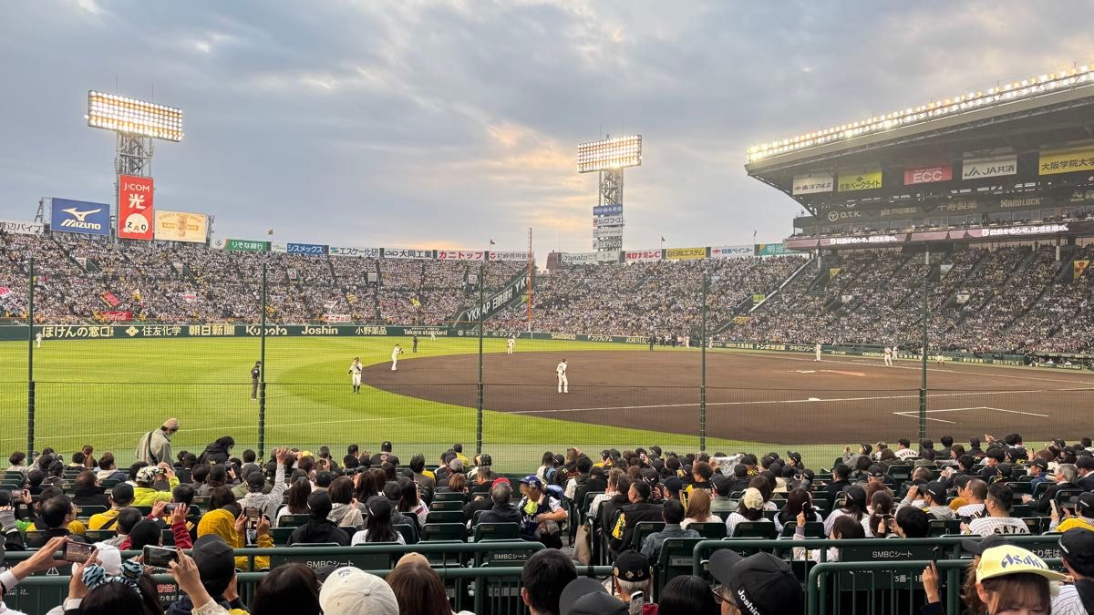 阪神タイガース 甲子園 5月22日 ペア チケット VS 読売 阪神タイガース 甲子園 5月22日 ペア チケット VS 読売