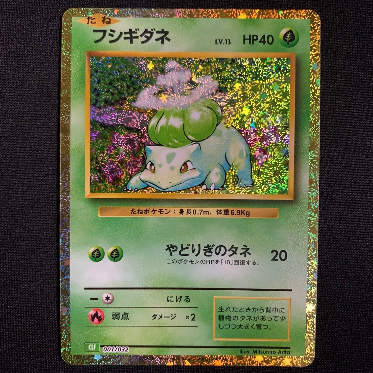 フシギダネ フシギソウ ヒトカゲ リザード ゼニガメ カメール フシギダネ フシギソウ ヒトカゲ リザード ゼニガメ カメール