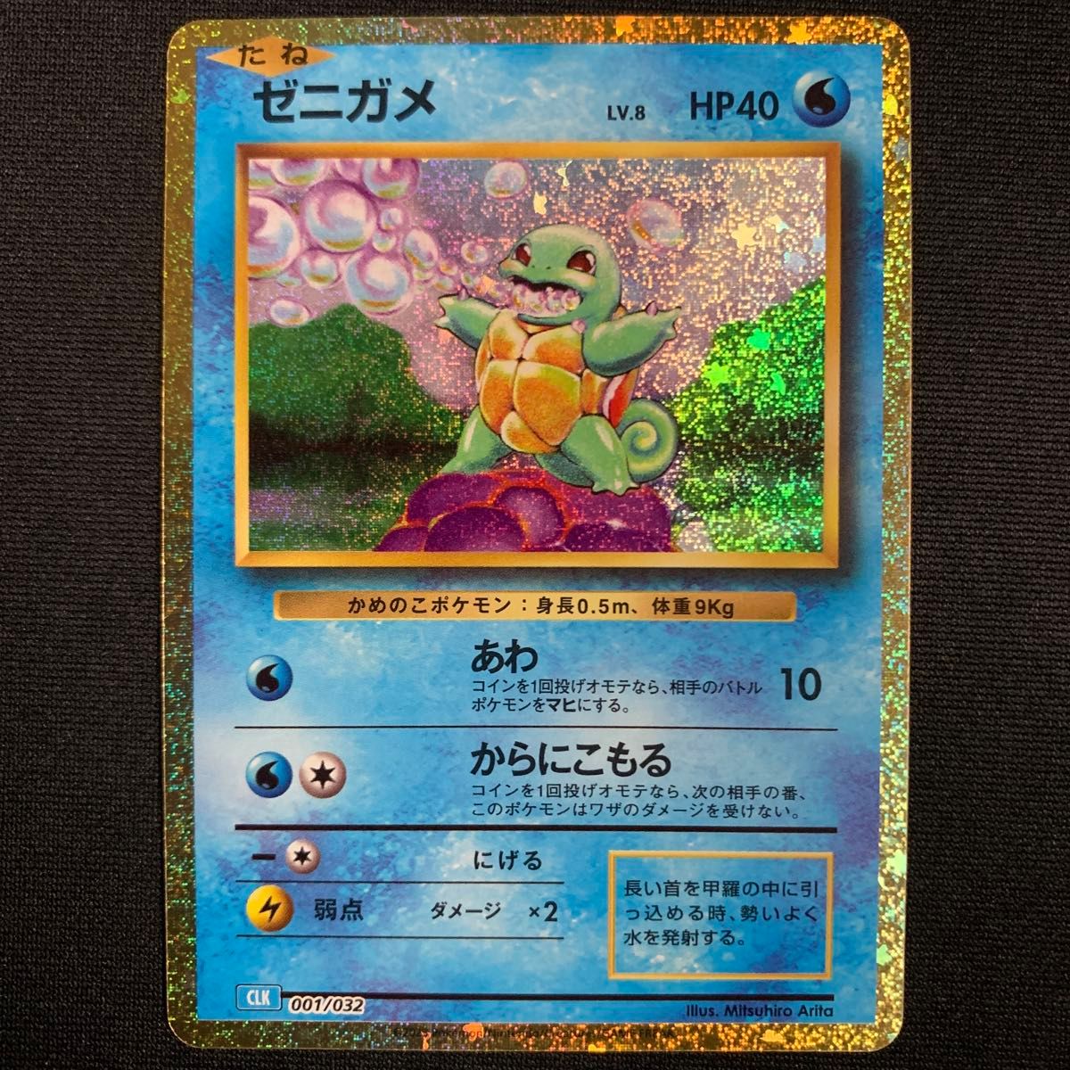 フシギダネ フシギソウ ヒトカゲ リザード ゼニガメ カメール フシギダネ フシギソウ ヒトカゲ リザード ゼニガメ カメール
