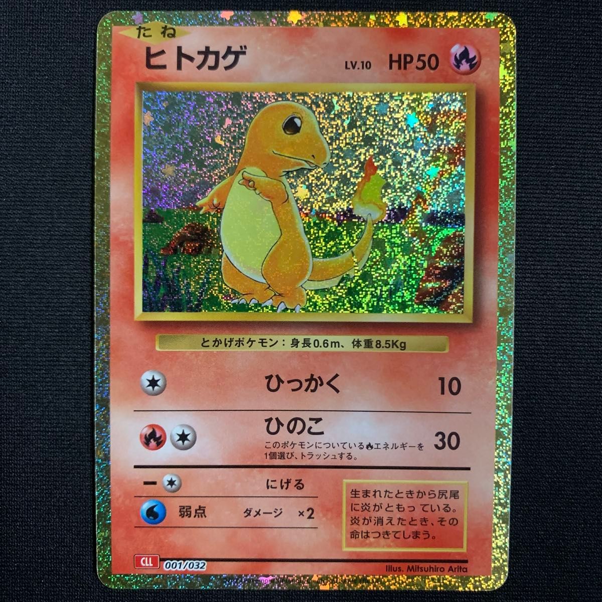 フシギダネ フシギソウ ヒトカゲ リザード ゼニガメ カメール フシギダネ フシギソウ ヒトカゲ リザード ゼニガメ カメール