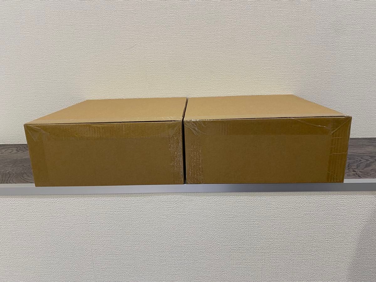 輸送箱未開封 全2種 いきもの大図鑑プレミアム パンサー 輸送箱未開封 全2種 いきもの大図鑑プレミアム パンサー