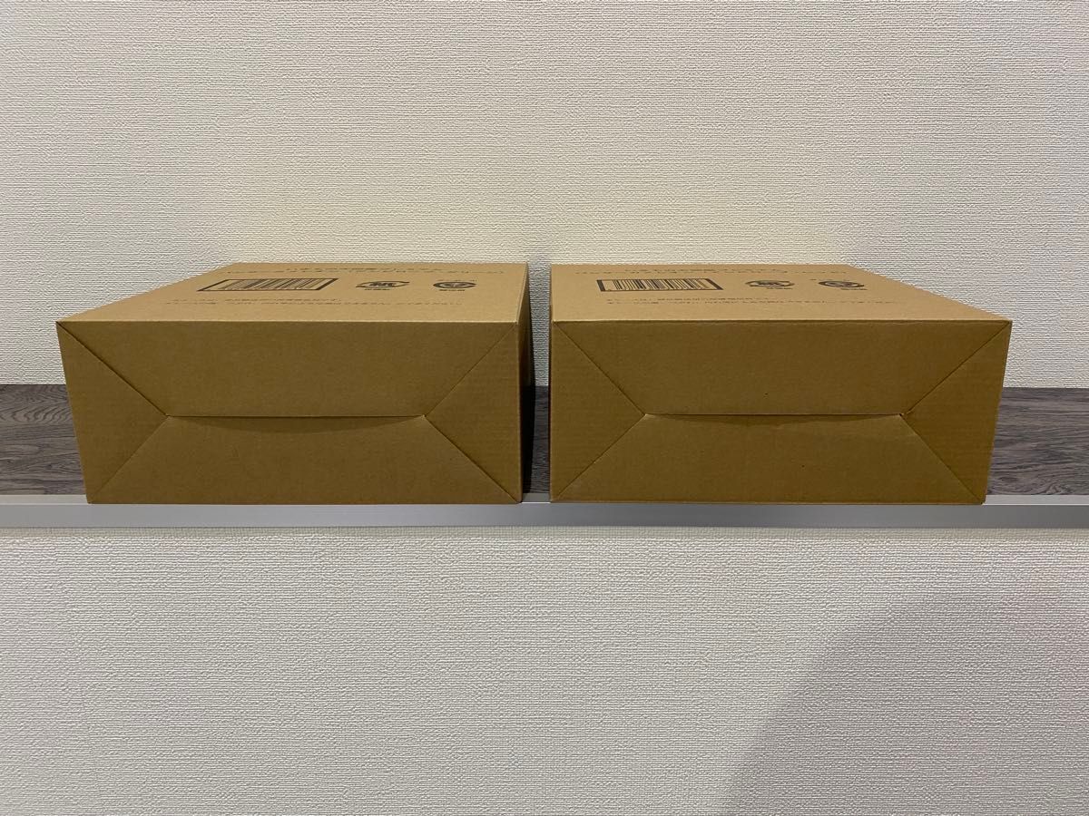 輸送箱未開封 全2種 いきもの大図鑑プレミアム パンサー 輸送箱未開封 全2種 いきもの大図鑑プレミアム パンサー