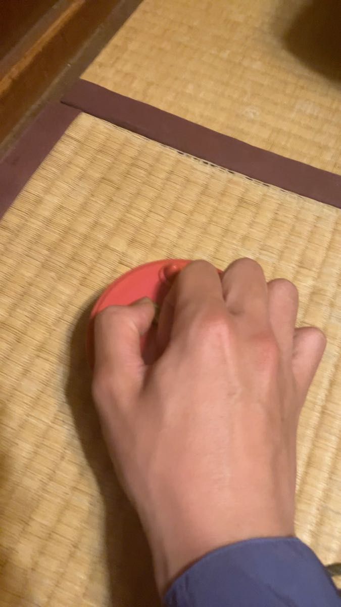 南の虹のルーシー オルゴール ポピー 日本アニメ サンヨー